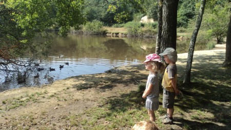 Promenade à la forêt de Bouconne
